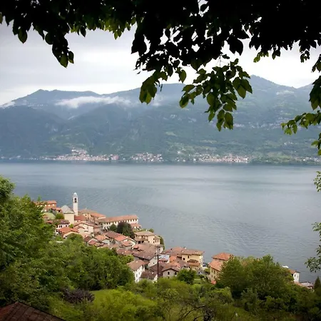 Lago 013126 Cmi000 *